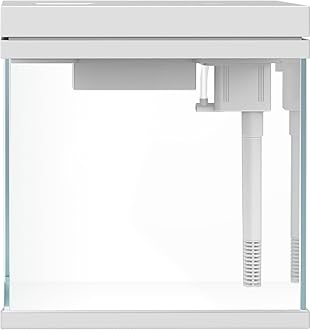 7.5L Small Aquarium Fish Tank, Compact Eco Aquarium, Glass Aquarium, Desktop Fish Tank, Tropical Fish Tank with lighting, filtration, waving and aeration-2 Gallons