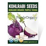Organic Kohlrabi Seeds (Purple Vienna) - Approx 500 Seeds - USDA Organic, Non-GMO, Open Pollinated, Heirloom