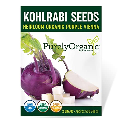 Organic Kohlrabi Seeds (Purple Vienna) - Approx 500 Seeds - USDA Organic, Non-GMO, Open Pollinated, Heirloom