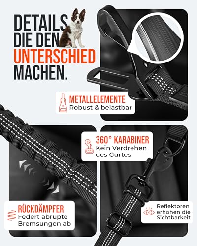 ZAUBERPFOTE Hundegurt ’Argo‘ fürs Auto – Verstellbarer Sicherheitsgurt mit Rückdämpfung & ISOFIX Anschluss – Anschnallgurt für alle Hunderassen (Schwarz, Gr. L)