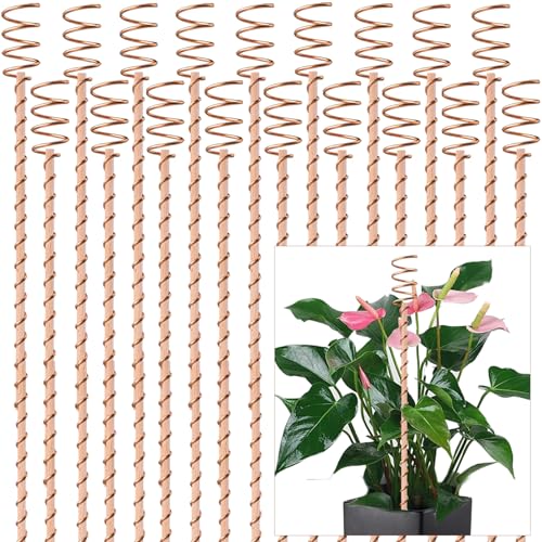 18Pack Electroculture Plant Stakes 12 Electroculture Copper Gardening Antenna Copper Coil Plant Stakes for Garden Garden Stakes for Plants Fruits Vegetables Growth Eco-Friendly High-Yield