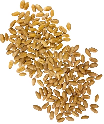 Image of Palouse Brand Certified Glyphosate Residue Free Hard and Soft White Wheat Berries | 10 LBS | Non-GMO Project Verified | Kosher (5 lbs each)