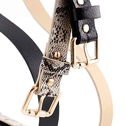 OuLi Store® 5PCS Cintura da Donna Modello Serpente...