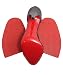 Red Sole repair rubber half soles - non skid - GTO RED brand