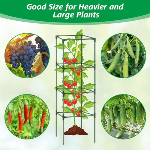 3Pack Tomato Cages for Garden,Square Tomato Plant Cage Support Heavy Duty Pole 57*15.4*15.4 Inches,Steel Plant Tower Stakes,Cherry Tomato Trellis Cucumber for Climbing Vegetables Flowers Fruits-Green