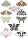 Janinka 10 Pcs Butterfly Enamel Pins Set Cute Spring Badge Back to School Lapel Brooches for Women Backpack Jewelry Gift(Chic Style)