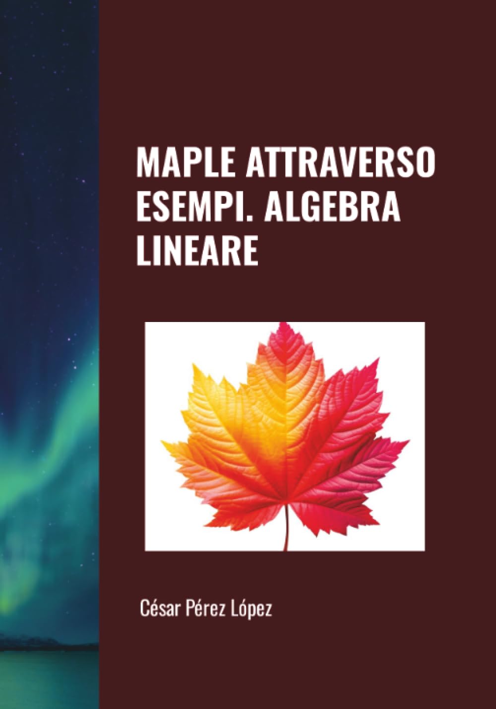 MAPLE ATTRAVERSO ESEMPI. ALGEBRA LINEARE
