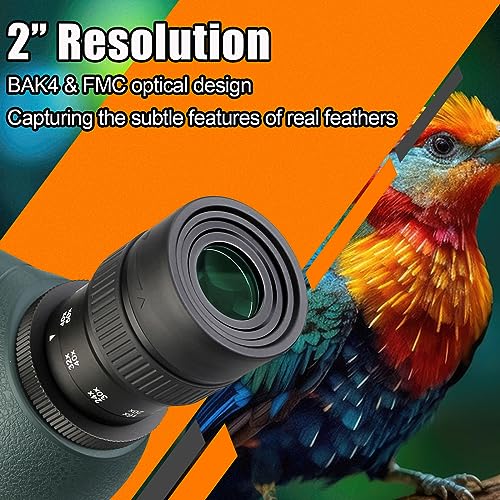 Telescopio terrestre compatible con cámara SC001 SVBONY SV406P zoom 20-60x 4