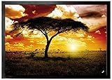 1art1 Afrika Sonnenuntergang In Der Savanne, Akazienbaum Fußmatte Innenbereich und Außenbereich | Design Türmatte 70x50 cm
