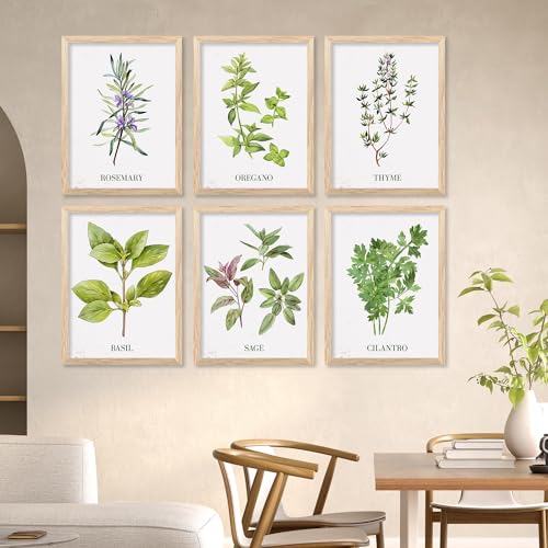 Image of kotart Kitchen Herbs Digital Painting for Restaurant Dinning Room Wall Decoration - Minimal Cooking Herbs Wall Art Prints for Kitchen Decor (13X17 INCH, D) Pack of 6