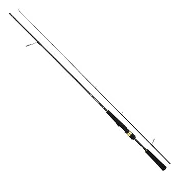 DAIWA - ダイワ　ラテオ63MS ボートシーバス Amazon | ダイワ(DAIWA) ボートシーバスロッド ラテオ BS 69MS