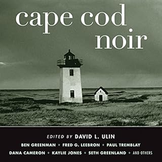 Cape Cod Noir Audiolibro Por David L. Ulin arte de portada