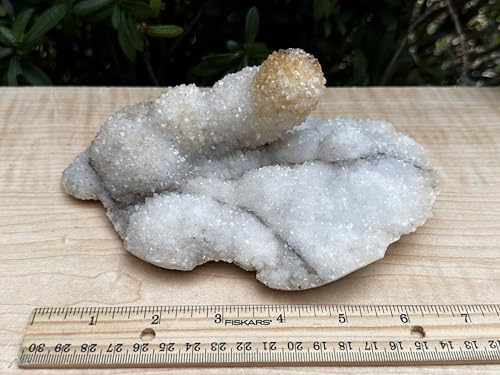 Image of GAF TREASURES Chalcedony & Crystal Quartz Stalactite 3-8 inch, Natural Quartz on Chalcedony Stalactite Specimen (2-3 lb)