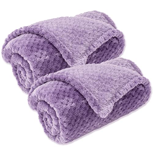 Image of Iris Warm Soft Fuzzy Dog, Cat, Pet Blanket - Plush Fleece Throws for Bed, Couch, Sofa, Travel (S /24 inch x 32 inch)