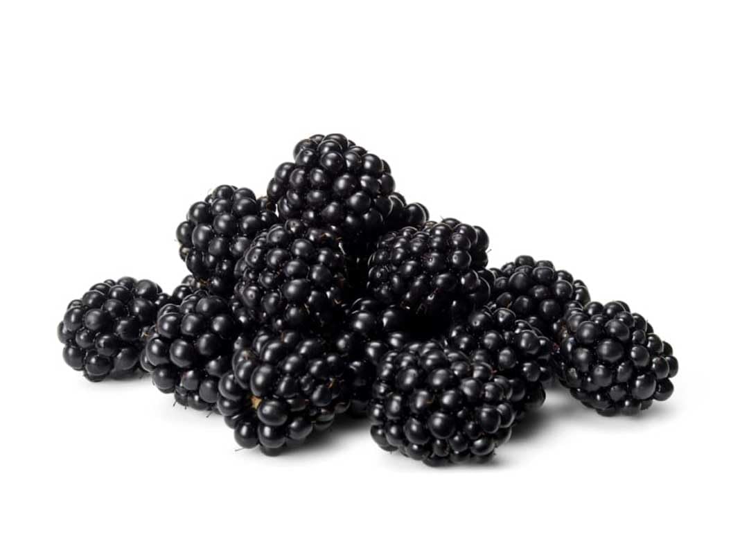 Berries Blackberry Morocco 125g pack
