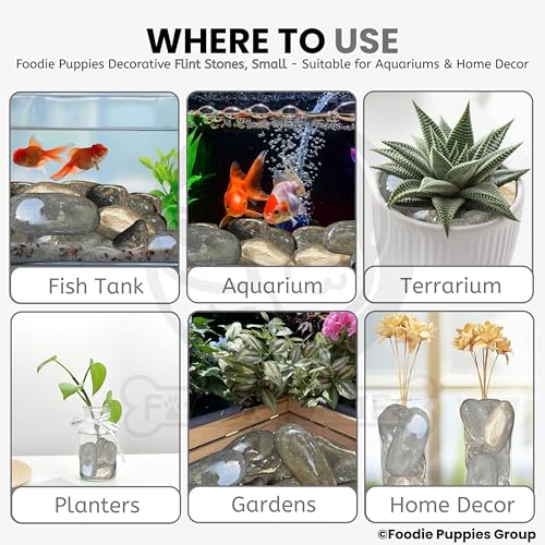 Image of Foodie Puppies Natural Irregular Grey Small Pebbles /Stones (Flint Small - 2Kg) (3cm - 5cm) | Decorative Substrate for Aquarium, Fish Tank, Plant Pots, Vase Filler & Art and Craft