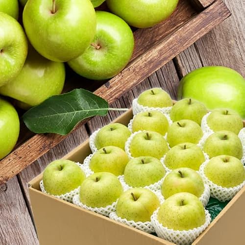 山形県産 りんご 王林 10kg (秀品/26玉〜40玉入り/常温品) 旬 リンゴ 林檎 おうりん お歳暮 ギフト 贈り物 贈答 お祝い 内祝い ご家庭用 山形 産地直送 果物 フルーツ お取り寄せ