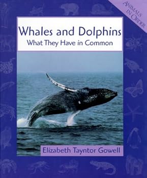 Hardcover Whales and Dolphins Book