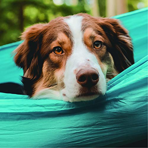 Image of Wise Owl Outfitters Hammock Camping Double & Single with Tree Straps - USA Based Hammocks Brand Gear, Indoor Outdoor Backpacking Survival & Travel - Blue + Bug Net & Rain Tarp