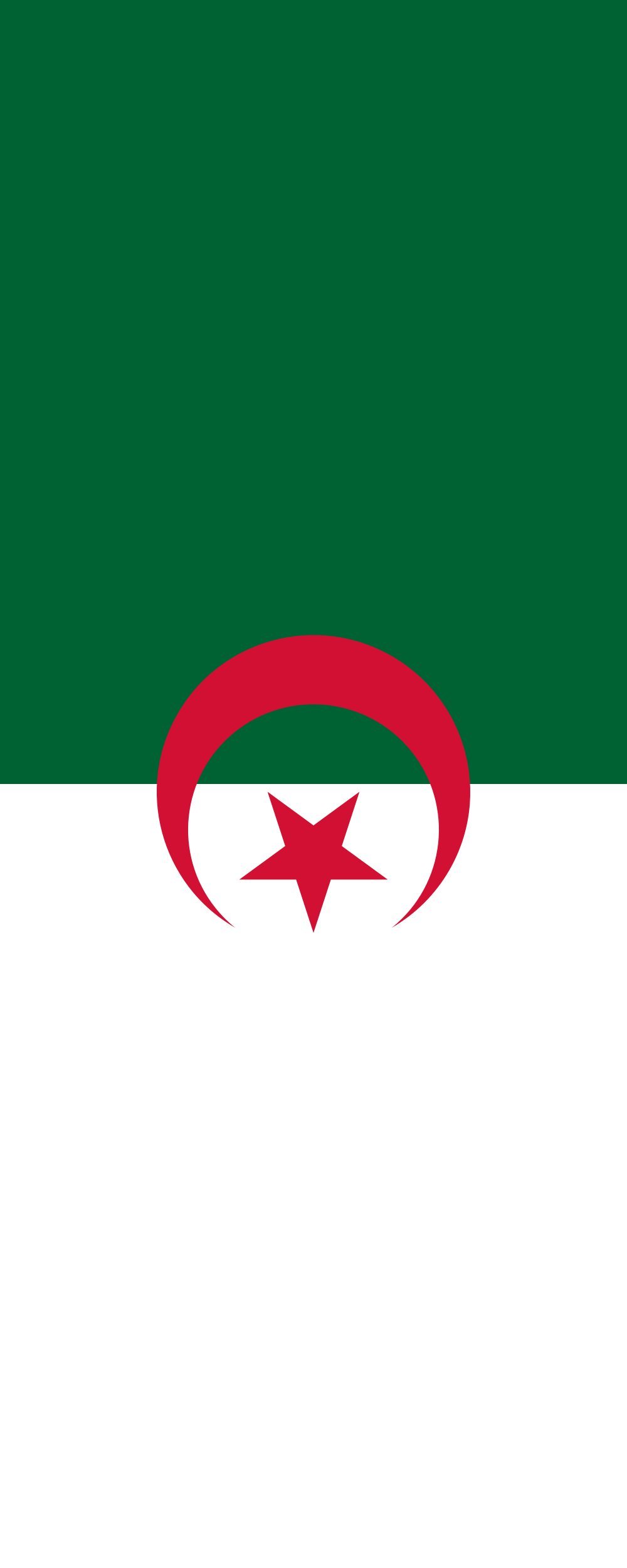Drapeau Algérie vertical format portrait 300x120cm pour mât de 3.5m²
