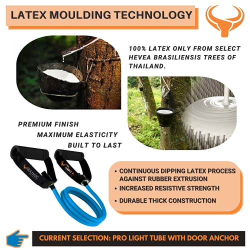 Image of BULMARC Resistance Tube /Bands for Exercises Set with Foam Handle, Featuring eBOOK with 45+ Exercises for Full Body Workout /Toning Tube for Exercise Door Anchor Optional
