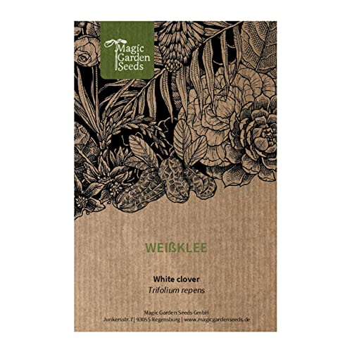 Trébol blanco (Trifolium repens) - aprox. 30000 semillas