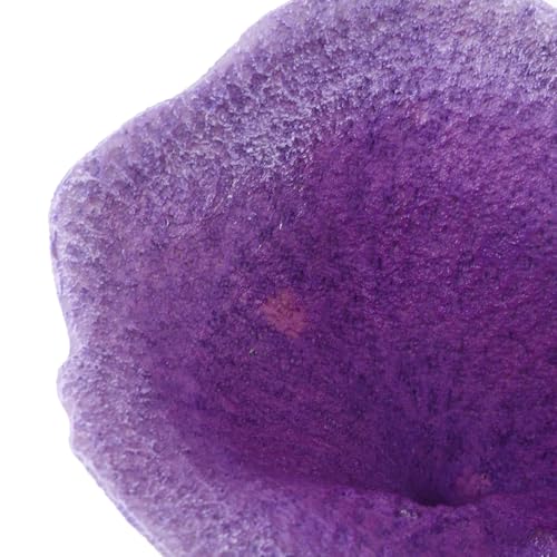 Image of POPETPOP Artificial Coral Aquarium Decor 5.90X4.52X3.34In Resin Coral Ornament Fish Tank Decoration for Betta Fish Small Tanks Realistic Simulation Accessory