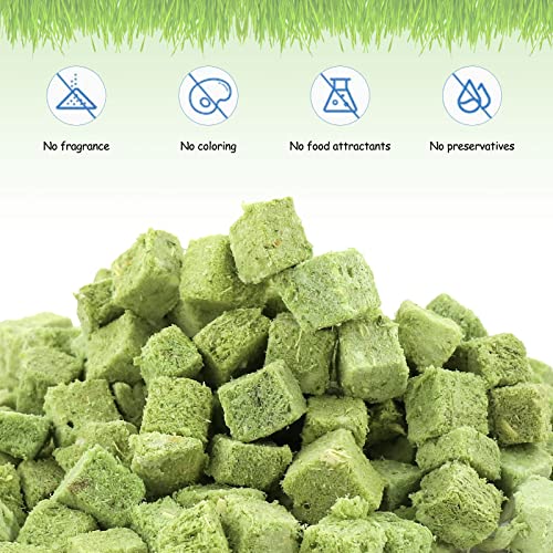 Havenfly Katzengras Snack,120g Gefriergetrocknet Snacks für Katzen für die Zahnpflege und Haarknäuel Entfernen, Katzenminze