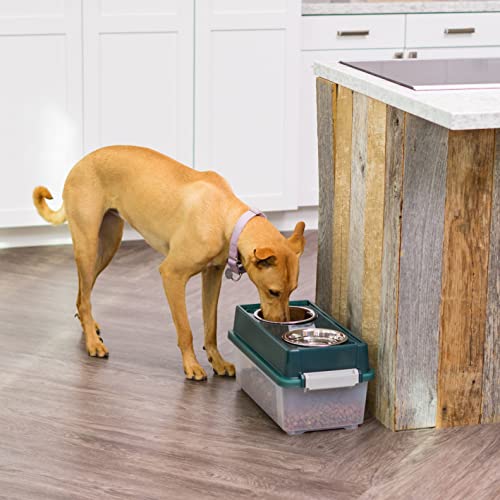 Iris Usa 13 Lbs./12 Qt. Medium Elevated Feeder With Weatherpro Airtight Pet Food Storage Container, Dry Food Bin With Removable Dog Bowls In Lid, At Home Or Camping Pet Food Container, Green #TOP2