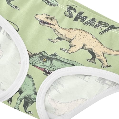 Wusikd Dinosaurs Vintage Girls' Underwear Cotton Sharp Teeth Girls Briefs Soft Toddler Underwear 2T4