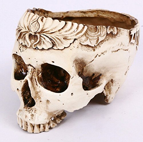 Halloween Easter Day Festival Party Show Celebration Prop Bar Decoration Cos Cosplay Hollow Brain Skull Pots Fruit Plate Storage Tank Head Beautifully Carved Resin