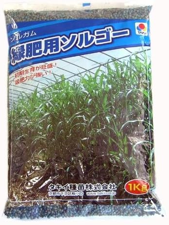 Amazon 農業資材 緑肥 種子 緑肥用 ソルゴー 1kg 土づくり 土壌改良におすすめの資材 芝生