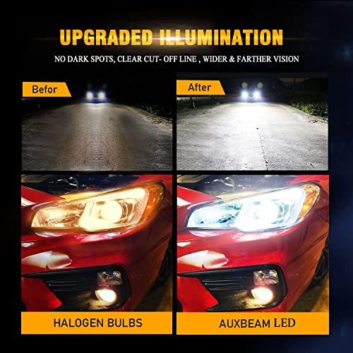 Auxbeam H1 P145S Led Bulb, 8000Lm 6500K Cool White, H1 All-In-One Conversion Kit, Ip65 Waterproof, Quick Installation, Halogen Replacement Bulbs, Pack Of 2 #TOP7