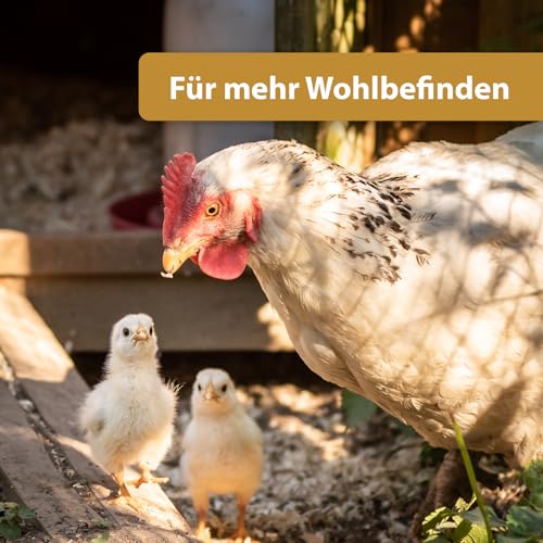 Quiko Hobby Farming Fitness Kräuter Ball 4X 100g - Hühner Beschäftigung - Bunter Fitness Ball aus schmackhaften Kräutern und Leckereien - Fördert das natürliche Pickverhalten Ihrer Hühner