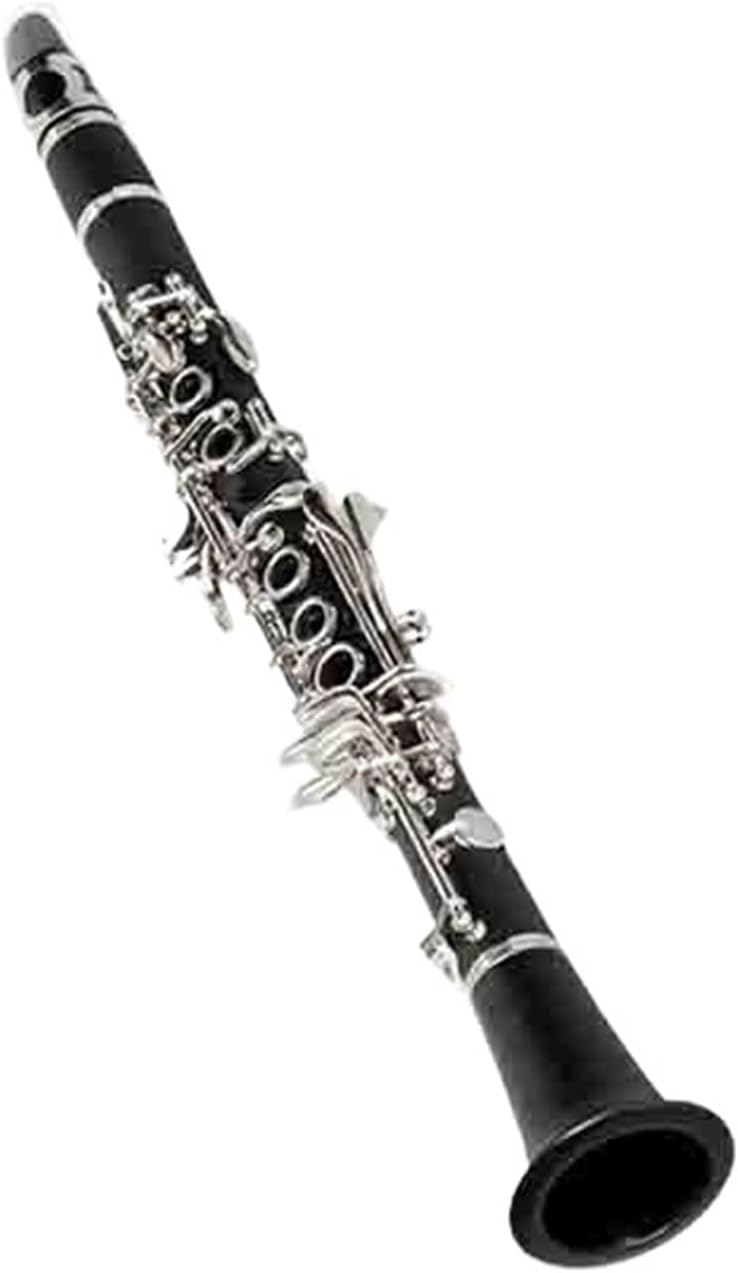 E Flat Clarinet Beginner Practice Instrument Clarinet Instrument