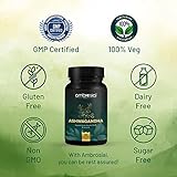 Ambrosial Ashwagandha Capsules 500mg per Capsule | High Strength Ashwagandha Root Powder| Herbal Supplement with Immunity Support | Non-GMO & Gluten Free (Pack of 1) - Image 6