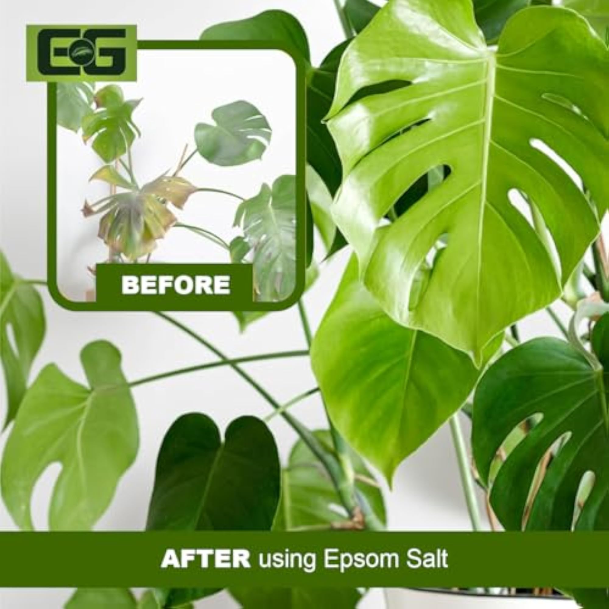 Epsom Salt for Bath, 1KG