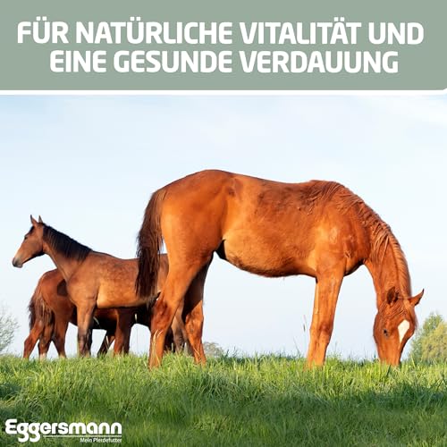 Eggersmann Mein Pferdefutter Weserland Mash getreidefrei 15 kg – Pferdefutter frei von Melasse, Getreide & Weizenkleie – Zur Unterstützung der Verdauung – Für Pferde mit Stoffwechselproblemen geeignet