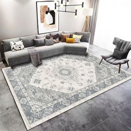 Tapis lavable doux 50x80cm moquette intérieure grand tapis - 2