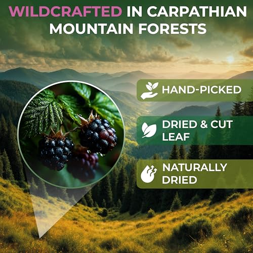 Image of 4 oz. Blackberry Leaf Herbal Tea (Rubus fruticosus) - 113g Dried Blackberry Leaf Tea Hojas de Zarzamora