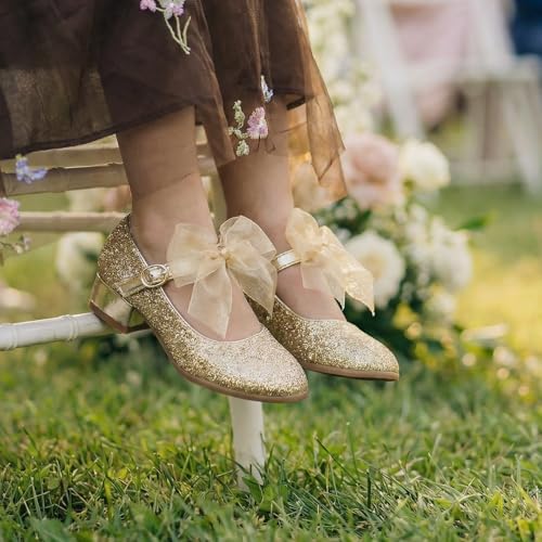 Image of THEE BRON Girls Low Heel Dress Shoes Mary Jane Party Wedding Flower Girl Pumps