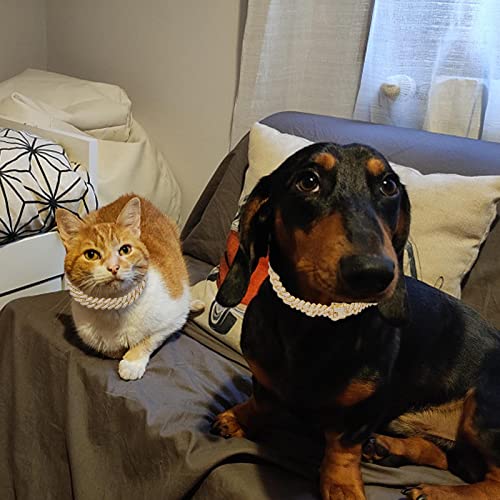 GORGECRAFT Hundekette Diamant Kubanisches Halsband Gehen Metallkette Halsband Kristall Strass Tennis Halskette Legierung Gliederkette Halskette Schnappverschluss Für Kleine Mittelgroße Hunde Katzen