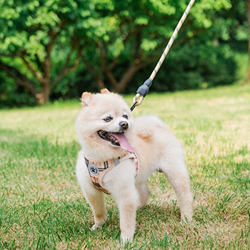 BEAUTYZOO Hundegeschirr und Leine, weiches Netzgewebe, reflektierend, für extra kleine und mittelgroße Welpen und Katzen, kariert, für XS / S, Beige