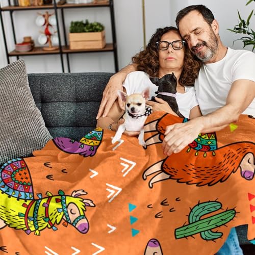Couverture polaire alpaga douce pour des nuits chaleureuses et soirées cocooning - 7