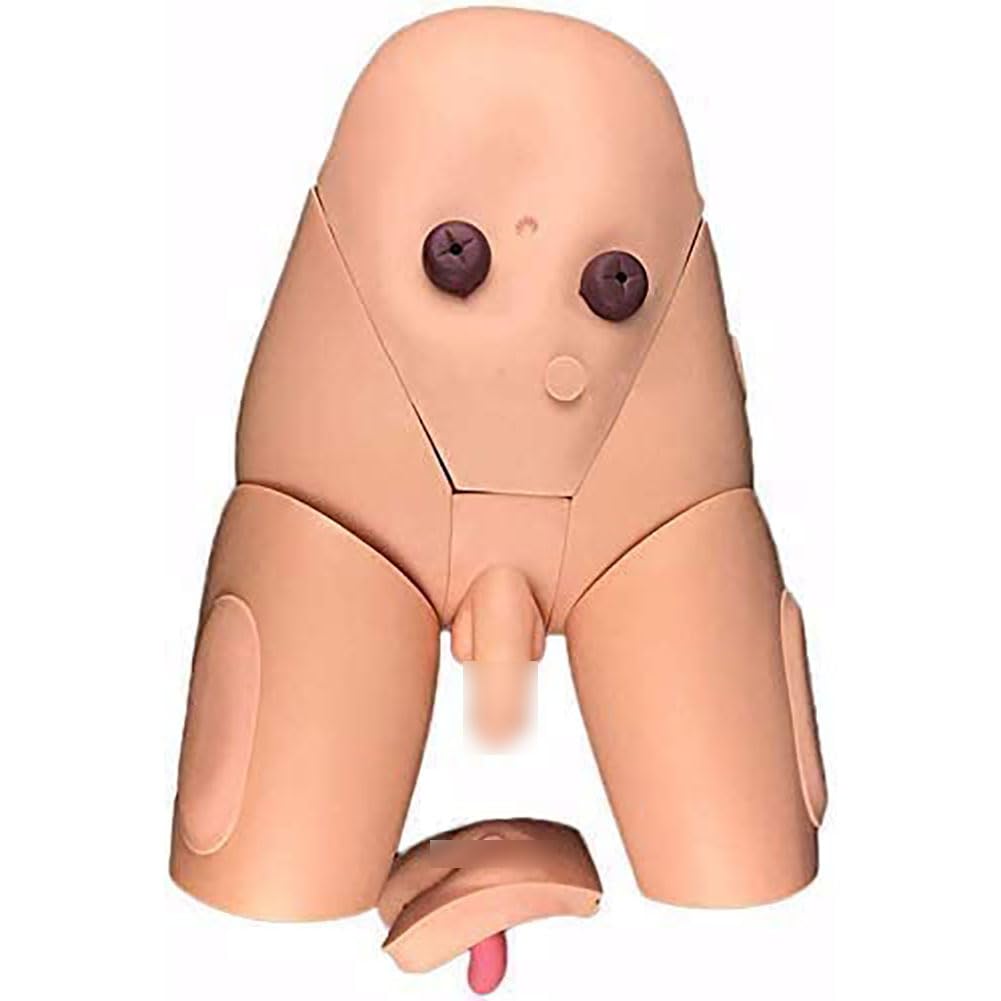 Model cewnikowania męsko-żeński model anatomiczny narządów płciowych wewnętrzny i zewnętrzny model szkoleniowy do praktyki medycznej lalka ćwiczeniowa PVC model nauczania dla lekarzy