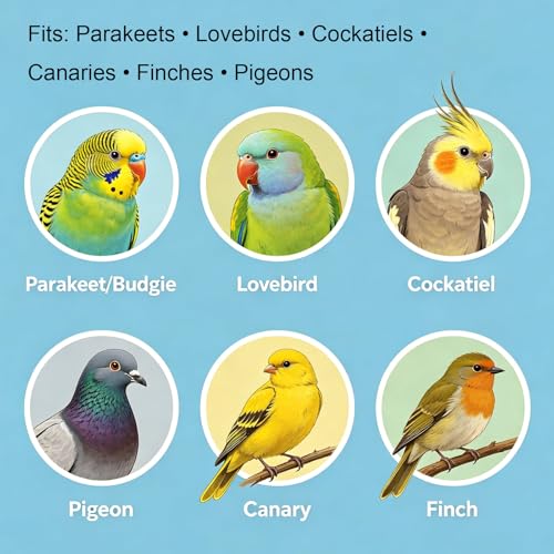Support alimentation 3 en 1 cage oiseaux avec pinces et fourchettes