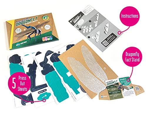 Build Your Own Beautiful Dragonfly | Pull Tab Flapping Wing Action | 15 Piece Kit | Fun Toy Gift For Kids, Girls & Boys & Families Age 8+ | Eco-Friendly Cardboard Slot Together Kit #TOP4