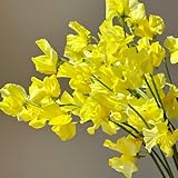 pisello dolce decorazioni da giardino per esterni semi da giardino selvatici selvatici balcone tagliati balcone serraio odore interno 450pcs