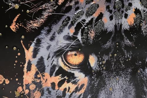 CUADRO LIENZO PS 50X3,5X70 LEOPARDO LACADO 2 SURT.