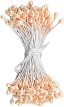 ECYC 900 Pcs 3mm Mini Flower Stamen, Pearl Double Heads Flower Stamen Pistil Artificial Floral Stamen for DIY Crafts,Champagne